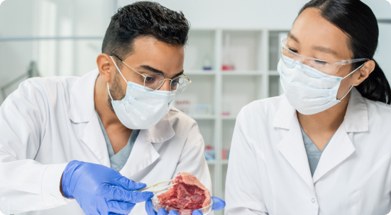 Implant Master Programme